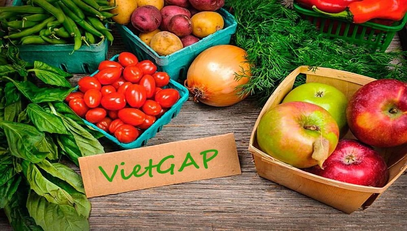 vietgap, tiêu chuẩn vietgap, tiêu chí vietgap