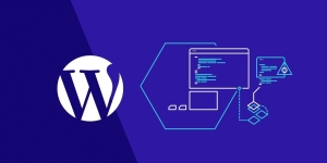 Cảnh báo: Lỗ hổng nghiêm trọng trên Plugin WordPress đe dọa bảo mật website